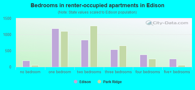 Bedrooms in renter-occupied apartments in Edison