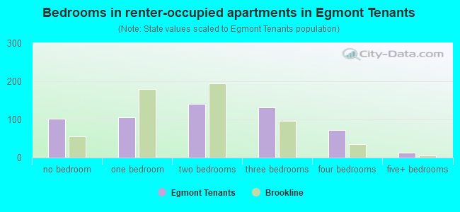 Bedrooms in renter-occupied apartments in Egmont Tenants