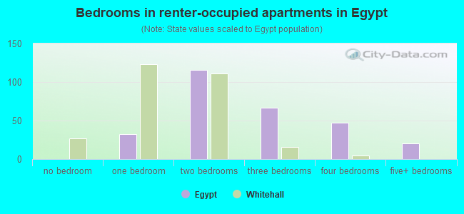 Bedrooms in renter-occupied apartments in Egypt