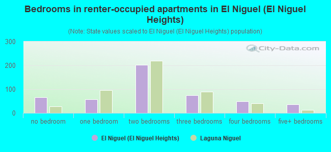 Bedrooms in renter-occupied apartments in El Niguel (El Niguel Heights)