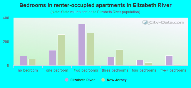 Bedrooms in renter-occupied apartments in Elizabeth River