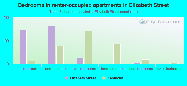 Bedrooms in renter-occupied apartments in Elizabeth Street