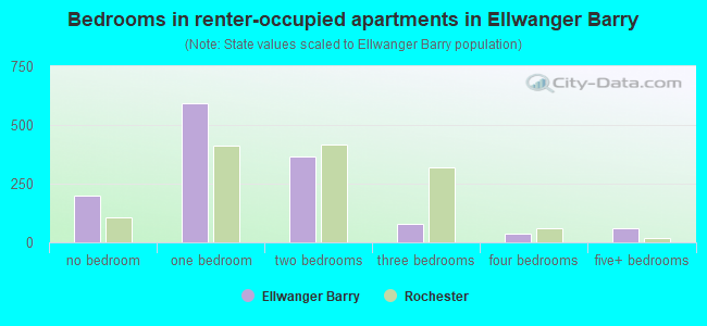 Bedrooms in renter-occupied apartments in Ellwanger Barry
