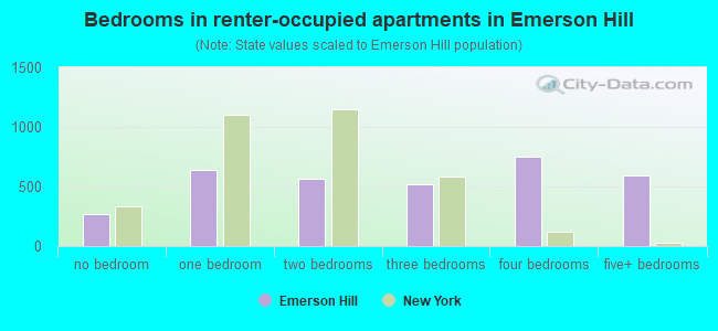 Bedrooms in renter-occupied apartments in Emerson Hill