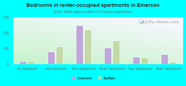 Bedrooms in renter-occupied apartments in Emerson