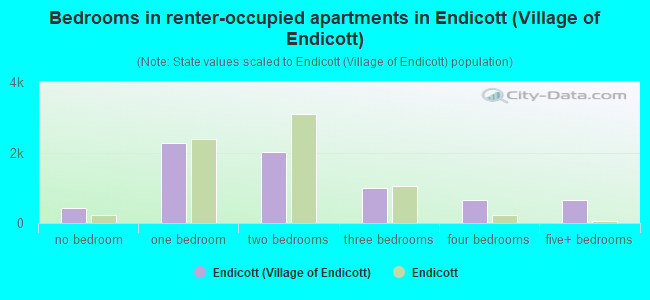 Bedrooms in renter-occupied apartments in Endicott (Village of Endicott)