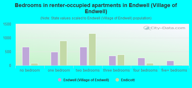 Bedrooms in renter-occupied apartments in Endwell (Village of Endwell)