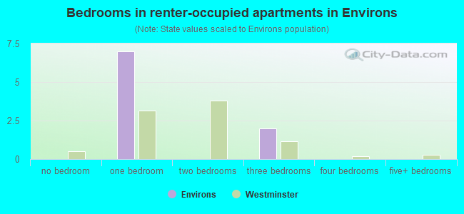 Bedrooms in renter-occupied apartments in Environs