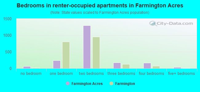 Bedrooms in renter-occupied apartments in Farmington Acres