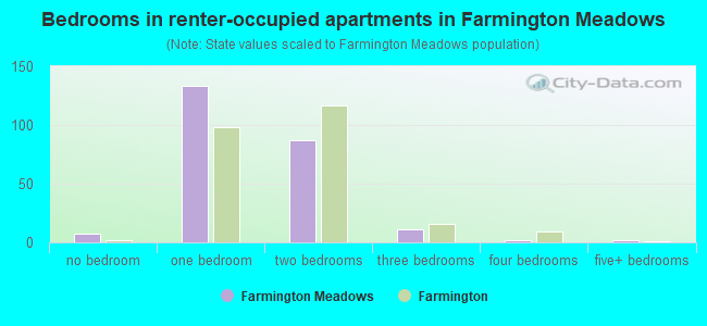 Bedrooms in renter-occupied apartments in Farmington Meadows