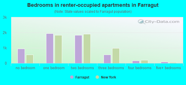 Bedrooms in renter-occupied apartments in Farragut
