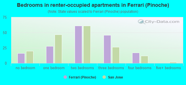 Bedrooms in renter-occupied apartments in Ferrari (Pinoche)