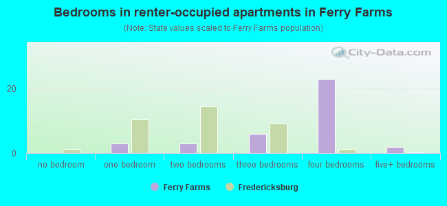 Bedrooms in renter-occupied apartments in Ferry Farms