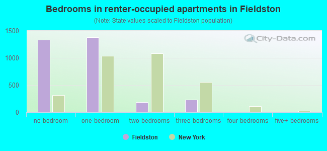Bedrooms in renter-occupied apartments in Fieldston