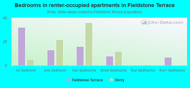 Bedrooms in renter-occupied apartments in Fieldstone Terrace