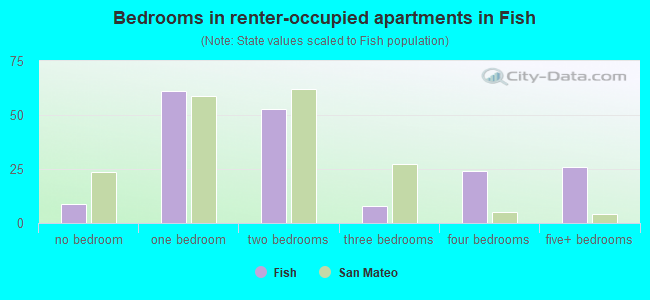 Bedrooms in renter-occupied apartments in Fish