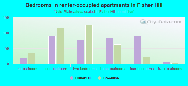 Bedrooms in renter-occupied apartments in Fisher Hill