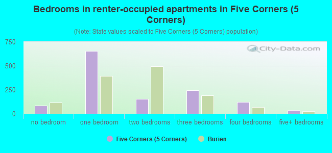 Bedrooms in renter-occupied apartments in Five Corners (5 Corners)