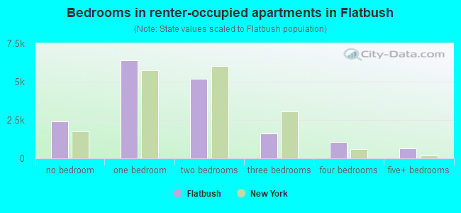 Bedrooms in renter-occupied apartments in Flatbush