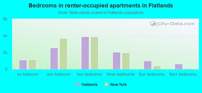Bedrooms in renter-occupied apartments in Flatlands