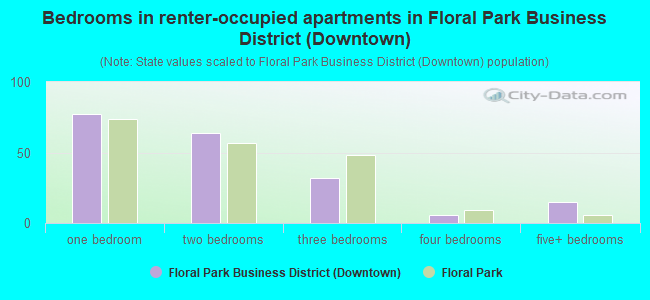 Bedrooms in renter-occupied apartments in Floral Park Business District (Downtown)