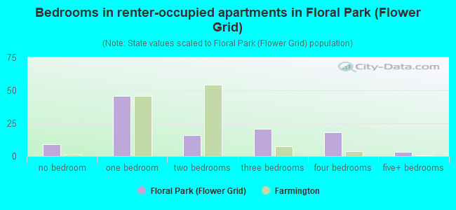 Bedrooms in renter-occupied apartments in Floral Park (Flower Grid)