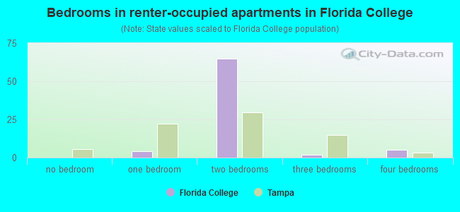 Bedrooms in renter-occupied apartments in Florida College