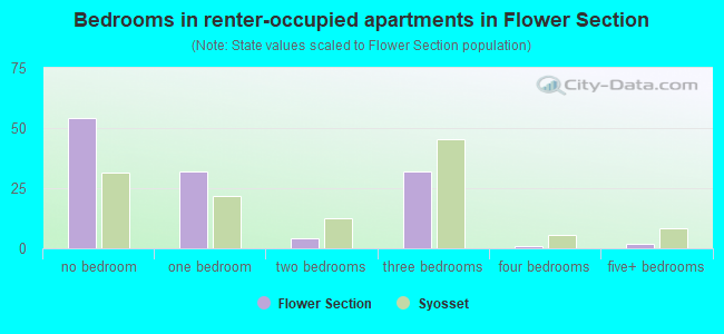 Bedrooms in renter-occupied apartments in Flower Section