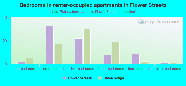 Bedrooms in renter-occupied apartments in Flower Streets