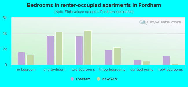 Bedrooms in renter-occupied apartments in Fordham