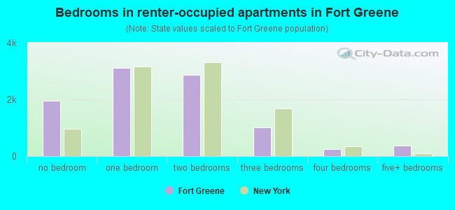 Bedrooms in renter-occupied apartments in Fort Greene