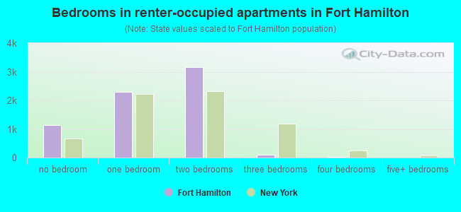 Bedrooms in renter-occupied apartments in Fort Hamilton