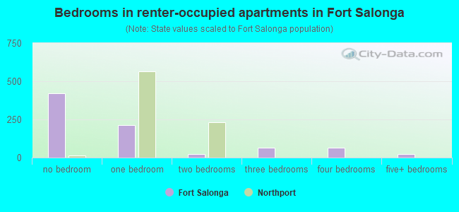 Bedrooms in renter-occupied apartments in Fort Salonga