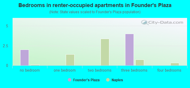 Bedrooms in renter-occupied apartments in Founder's Plaza