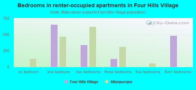 Bedrooms in renter-occupied apartments in Four Hills Village