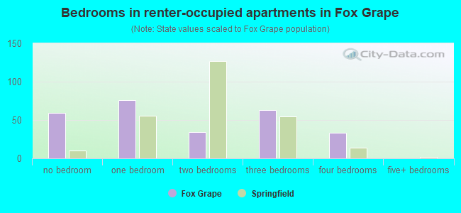 Bedrooms in renter-occupied apartments in Fox Grape