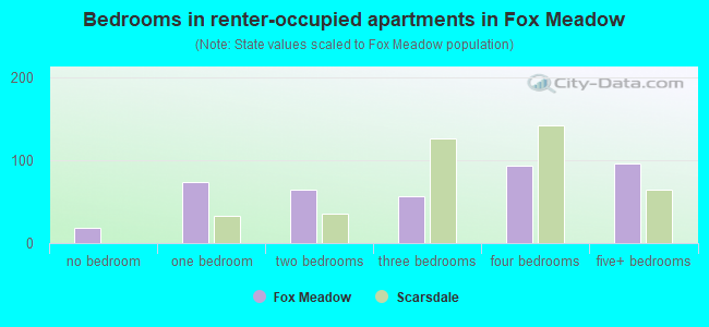 Bedrooms in renter-occupied apartments in Fox Meadow