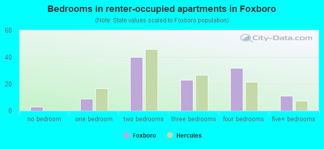 Bedrooms in renter-occupied apartments in Foxboro