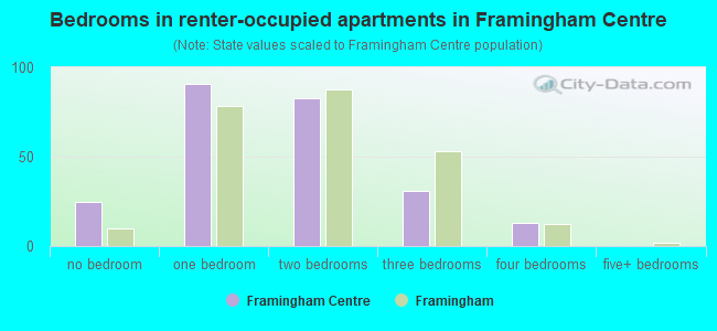 Bedrooms in renter-occupied apartments in Framingham Centre
