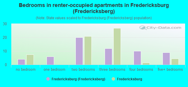 Bedrooms in renter-occupied apartments in Fredericksburg (Fredericksberg)