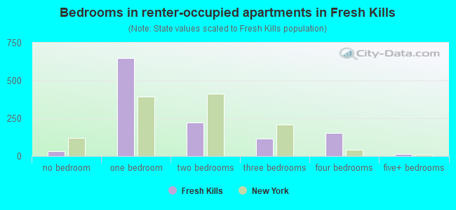 Bedrooms in renter-occupied apartments in Fresh Kills