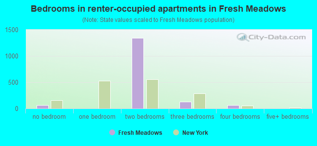 Bedrooms in renter-occupied apartments in Fresh Meadows