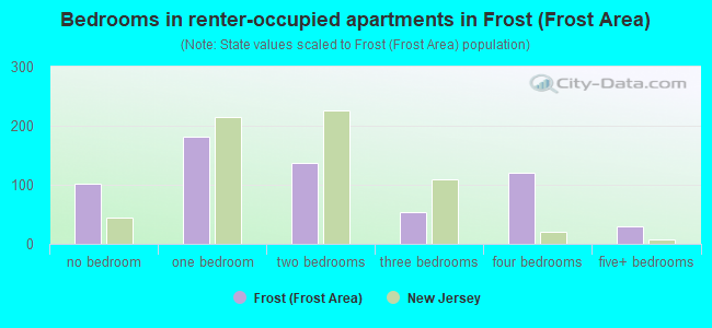 Bedrooms in renter-occupied apartments in Frost (Frost Area)