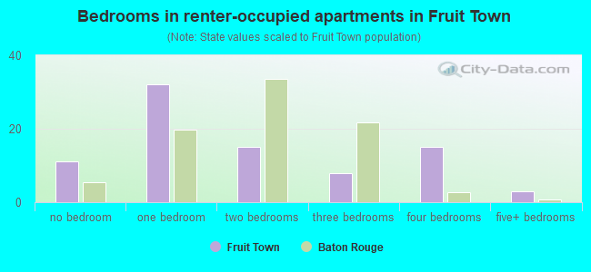 Bedrooms in renter-occupied apartments in Fruit Town