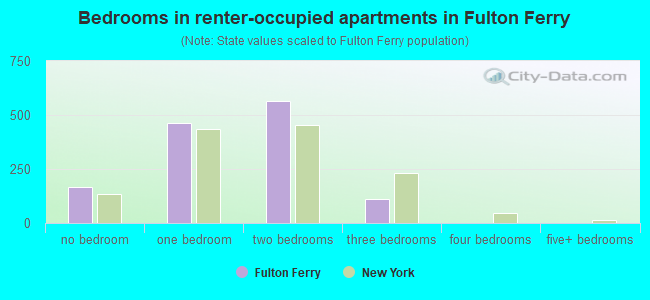 Bedrooms in renter-occupied apartments in Fulton Ferry