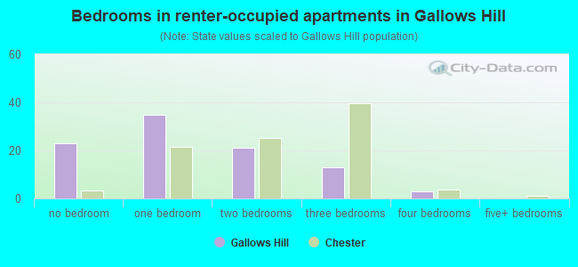 Bedrooms in renter-occupied apartments in Gallows Hill