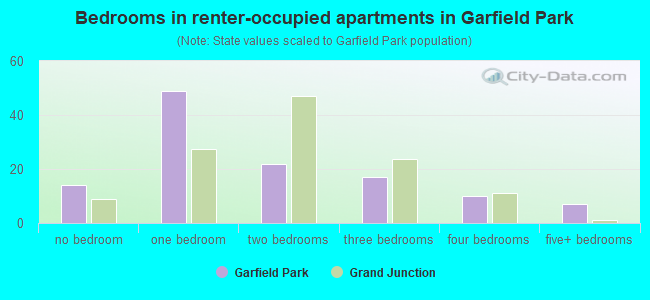 Bedrooms in renter-occupied apartments in Garfield Park