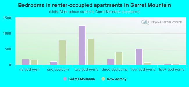 Bedrooms in renter-occupied apartments in Garret Mountain