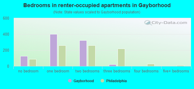 Bedrooms in renter-occupied apartments in Gayborhood