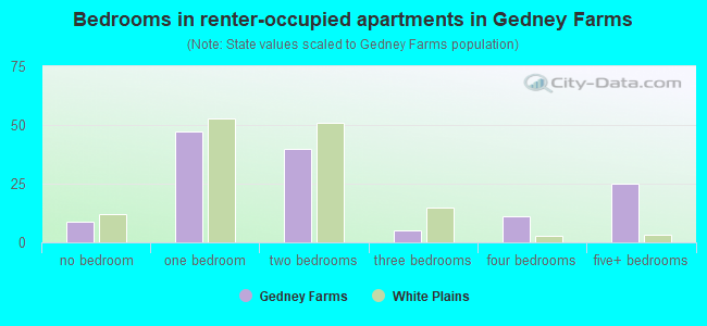 Bedrooms in renter-occupied apartments in Gedney Farms